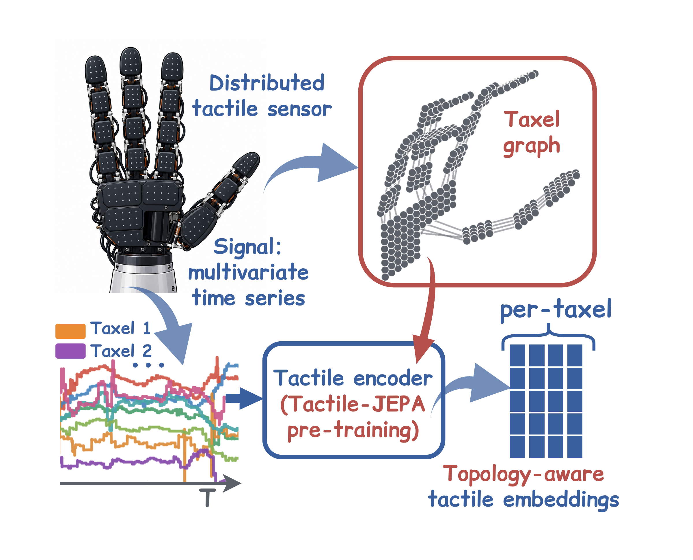 Tactile-JEPA learns topology-aware representations from distributed tactile signals using the sensor connectivity graph.